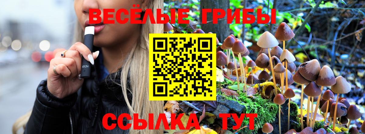 Псилоцибиновые грибы MAGIC MUSHROOMS  Псилоцибиновые грибы прущие грибы  Кингисепп  Вход с VPN 