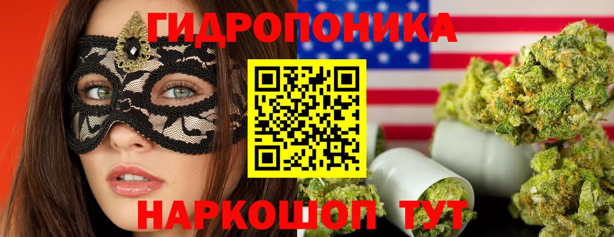 Бошки Шишки индика  Вход с VPN  Каннабис VHQ  Марихуана гибрид  Кингисепп 
